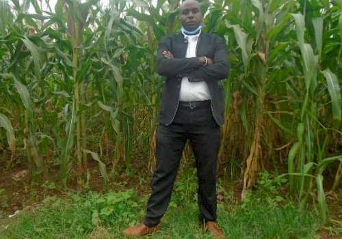 Joseph in corn field